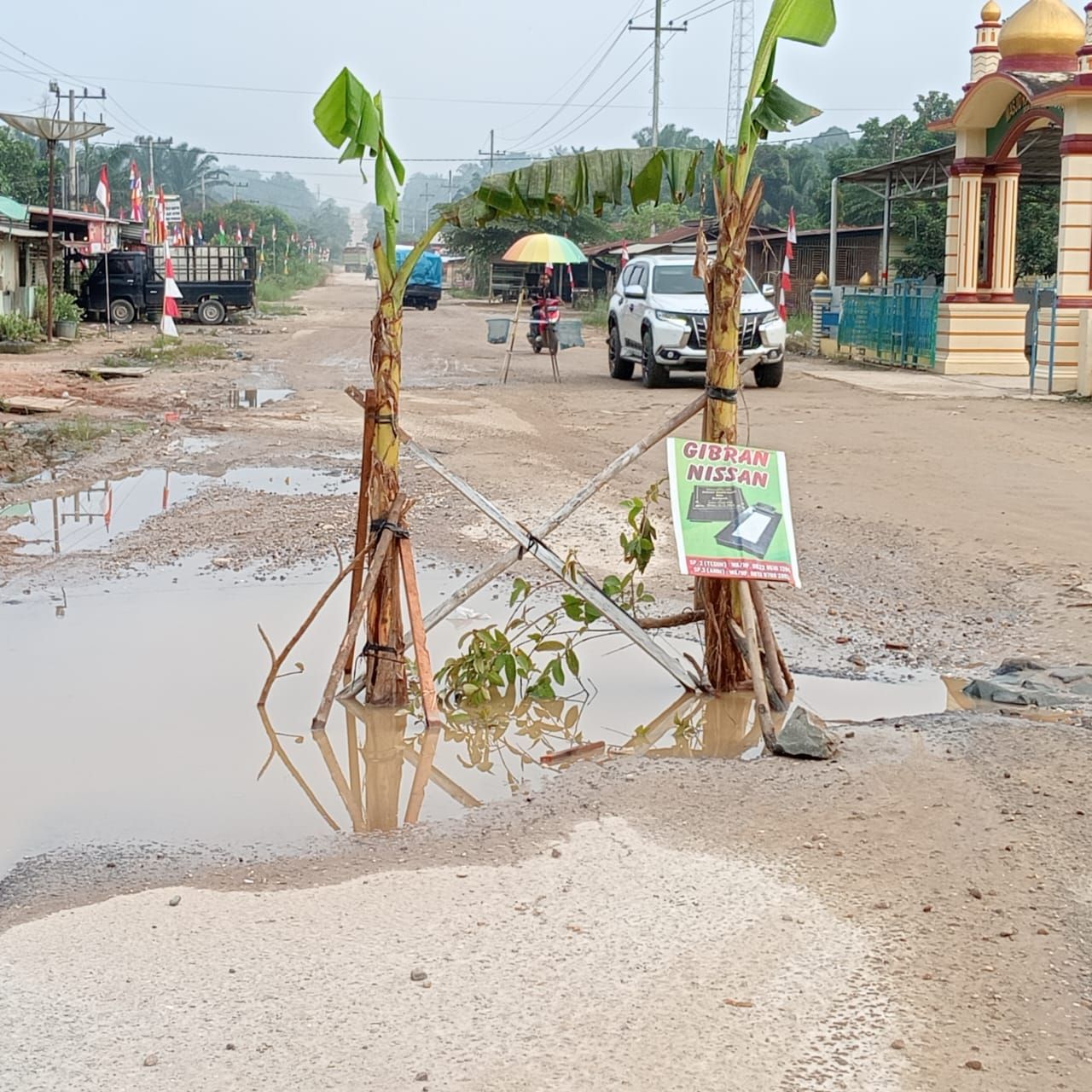 Akibat Jalan Rusak, Warga Tanam Pohon Pisang di Jalan