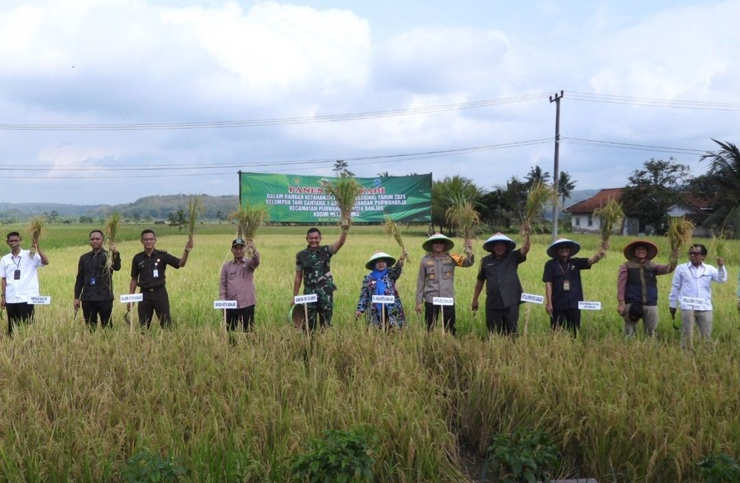 Dandim 0613 Ciamis Melaksanakan Panen Raya Bersama Forkopimda