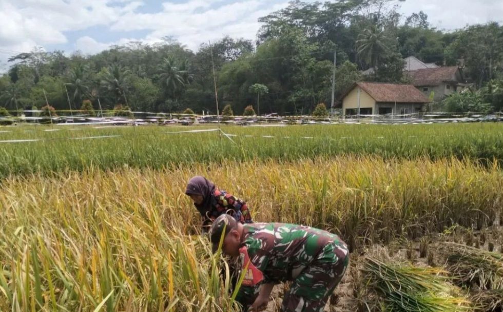 Kodim 0613 Ciamis Sukseskan Program Ketahanan