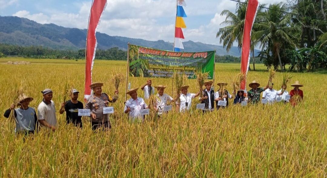 Danramil 1316 Pamarican Kodim 0613 Ciamis Hadiri Giat Farmer Field Day