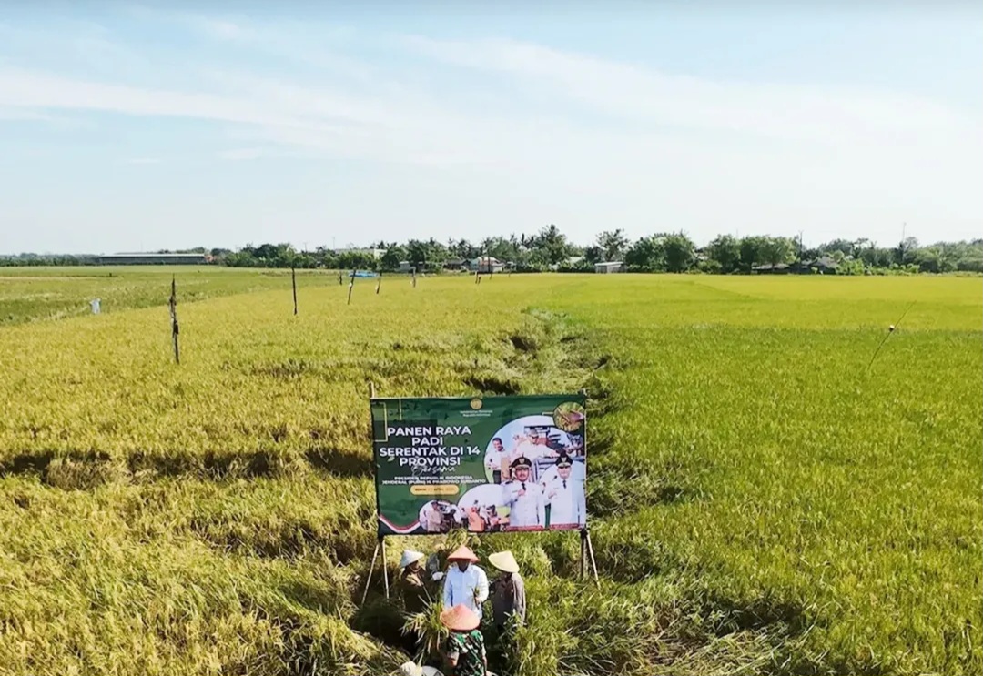 Wabup Bekasi Bersama Dinas Pertanian Hadiri Panen Raya Serentak di 14 Provinsi