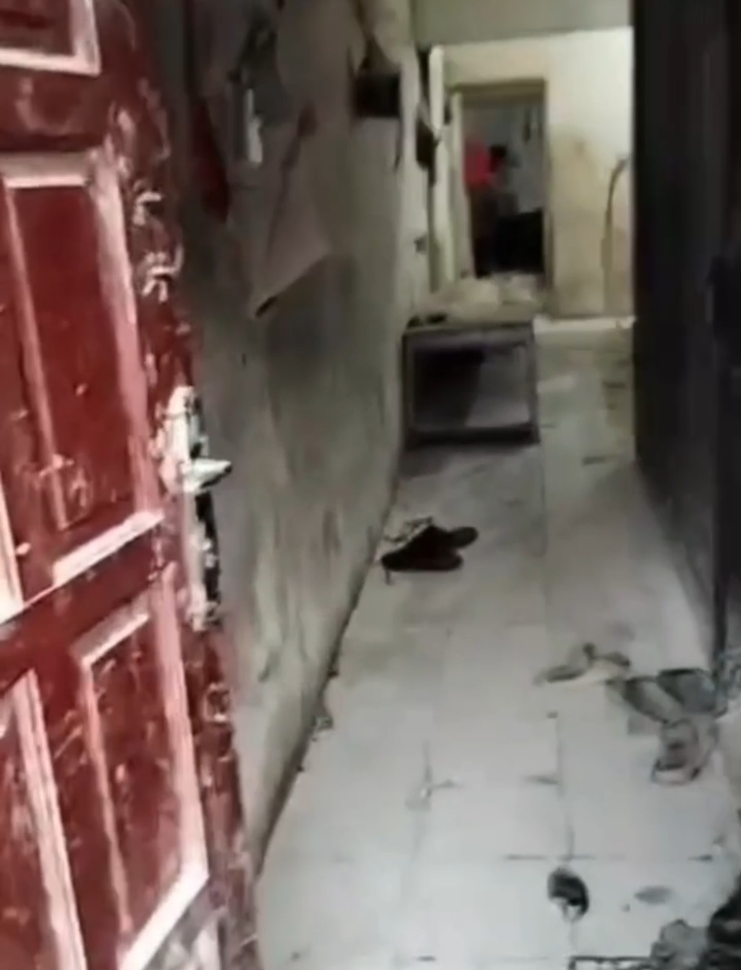 Korban Ledakan Tabung Gas Lumpia di Bogor Butuh Bantuan Perobatan