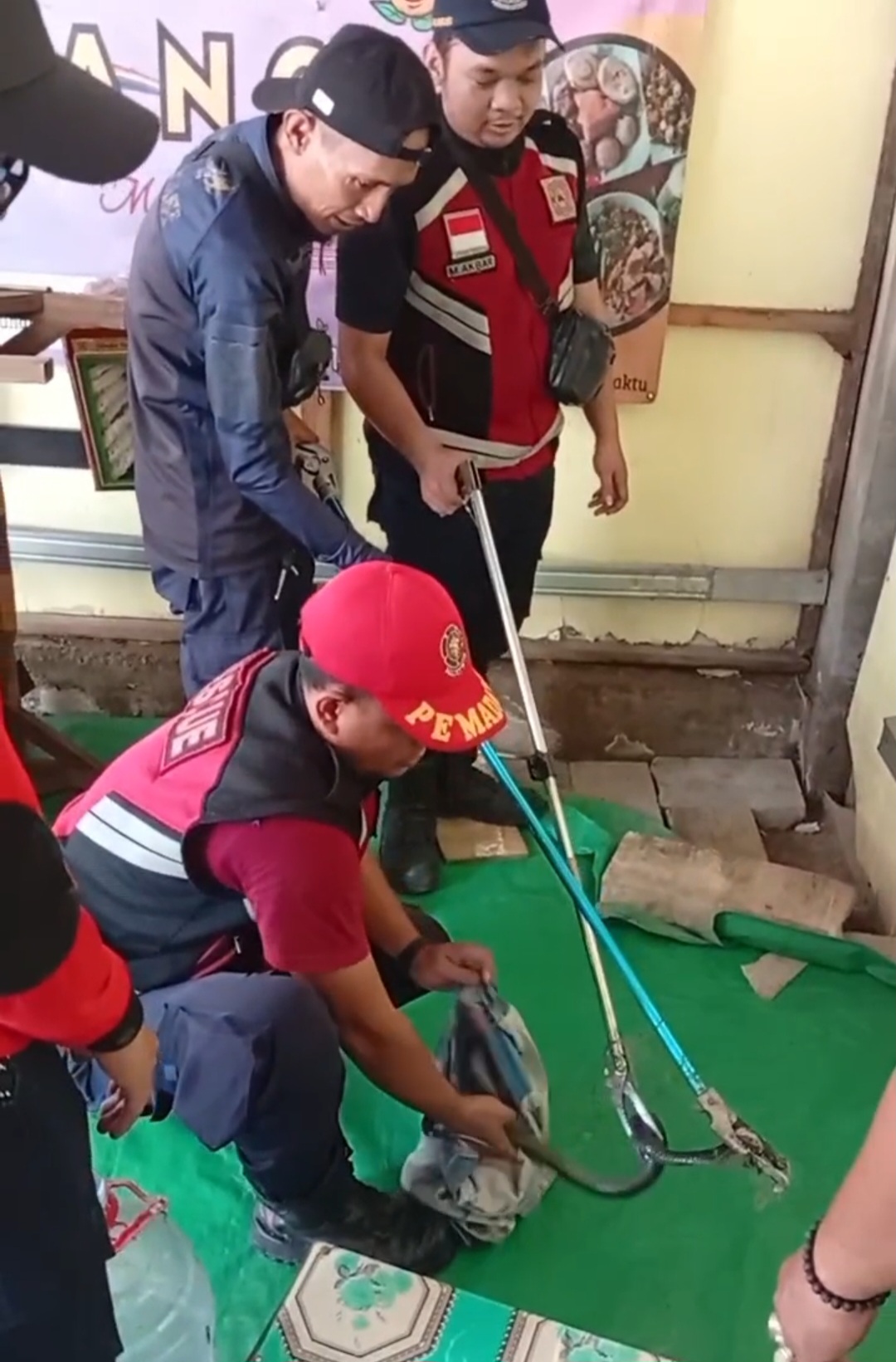 Warga Karang Bahagia Digegerkan Adanya Sarang Ular di Warung Bakso Karang Bahagia, Tim Rescue Bergerak Cepat