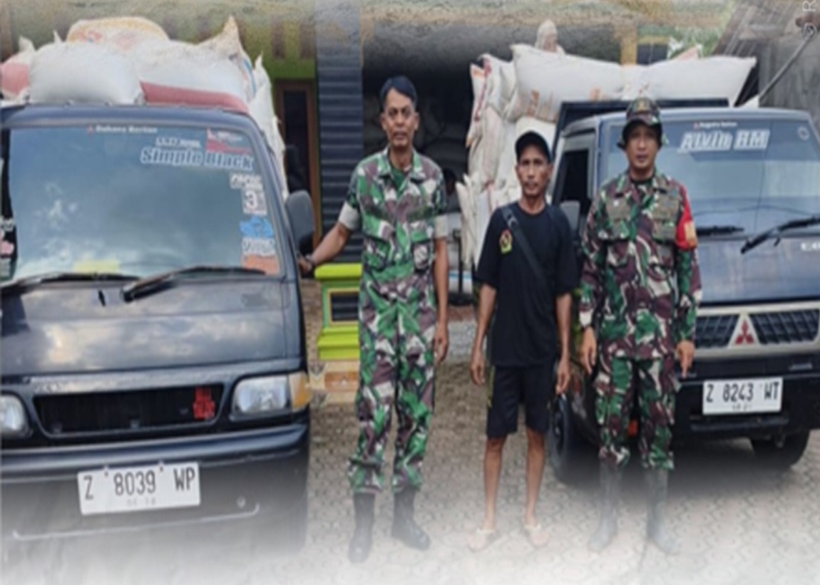 Babinsa Kodim 0613/Ciamis Monitoring Panen Padi