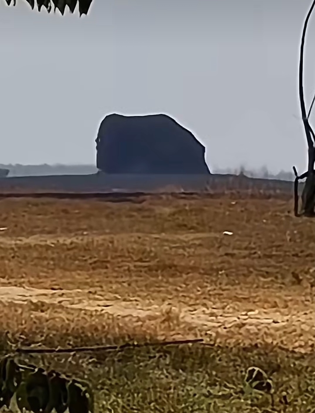 Kawah Oro-oro Kesongko di Blora Kembali Meletus